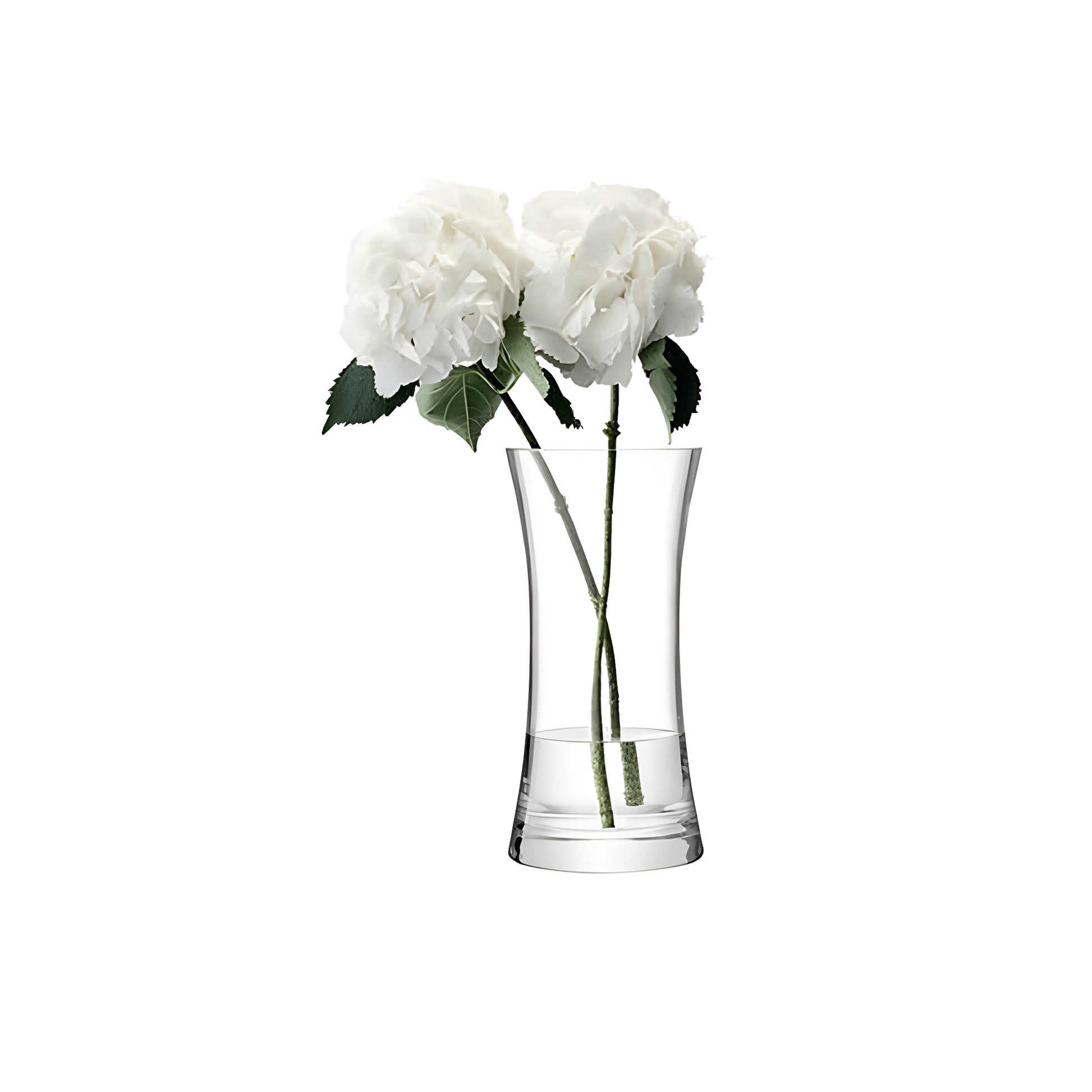 Clear glass vase with white hydrangeas on white background.