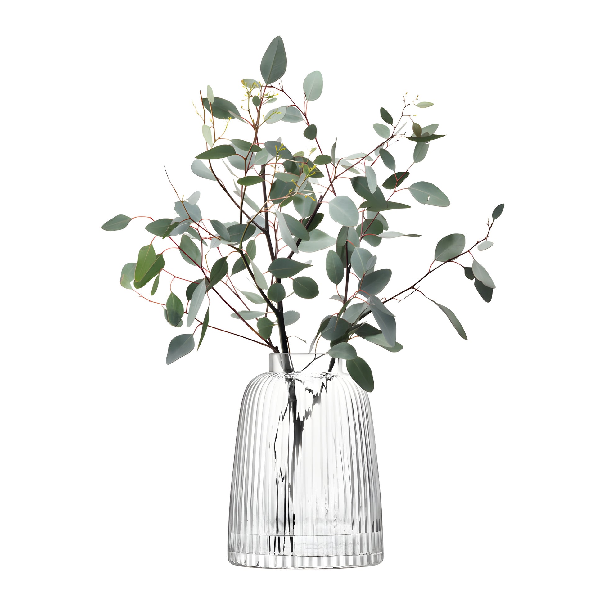 Clear glass pleat vase with eucalyptus branches arrangement.