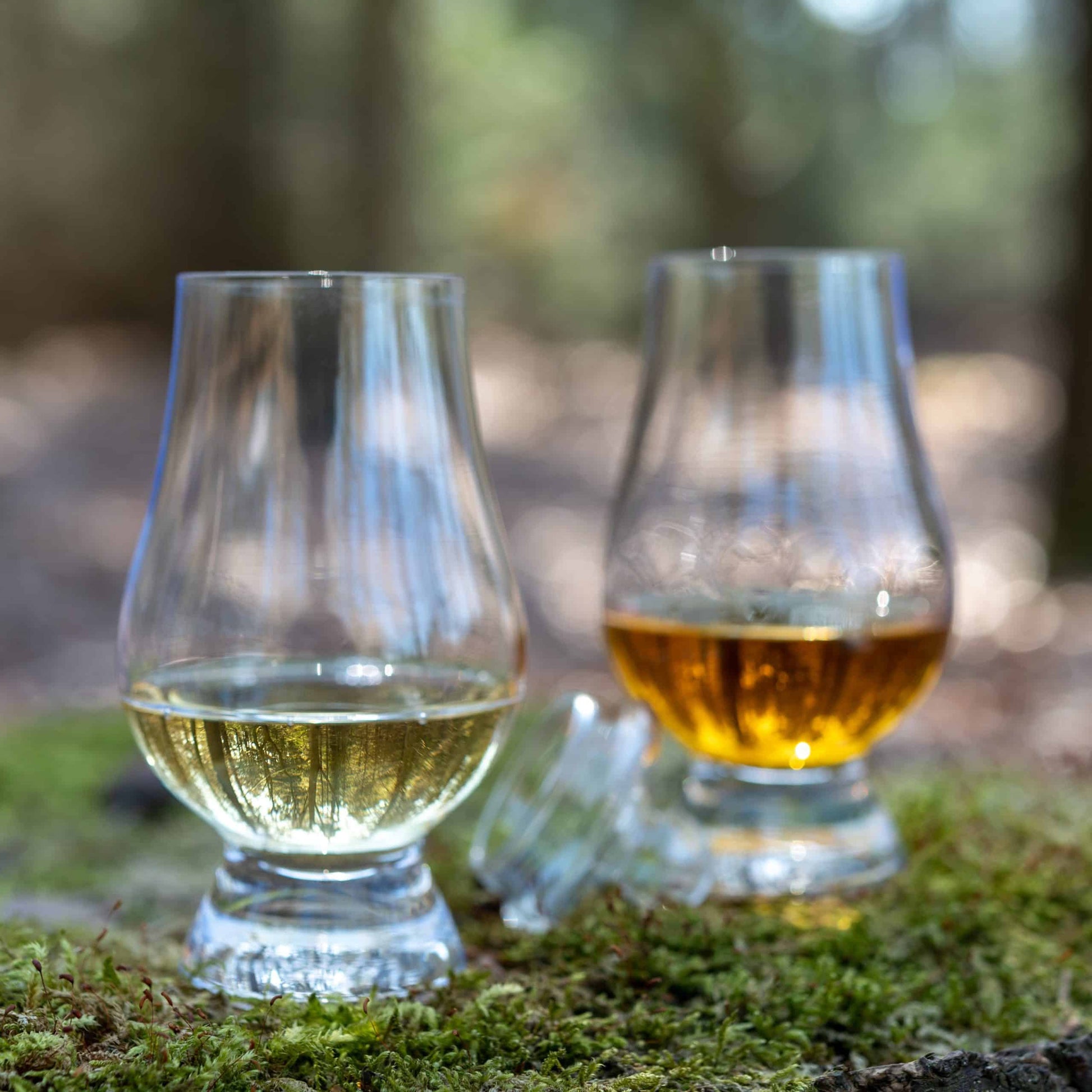 Two Glencairn whisky glasses with different whiskies on mossy surface in forest.