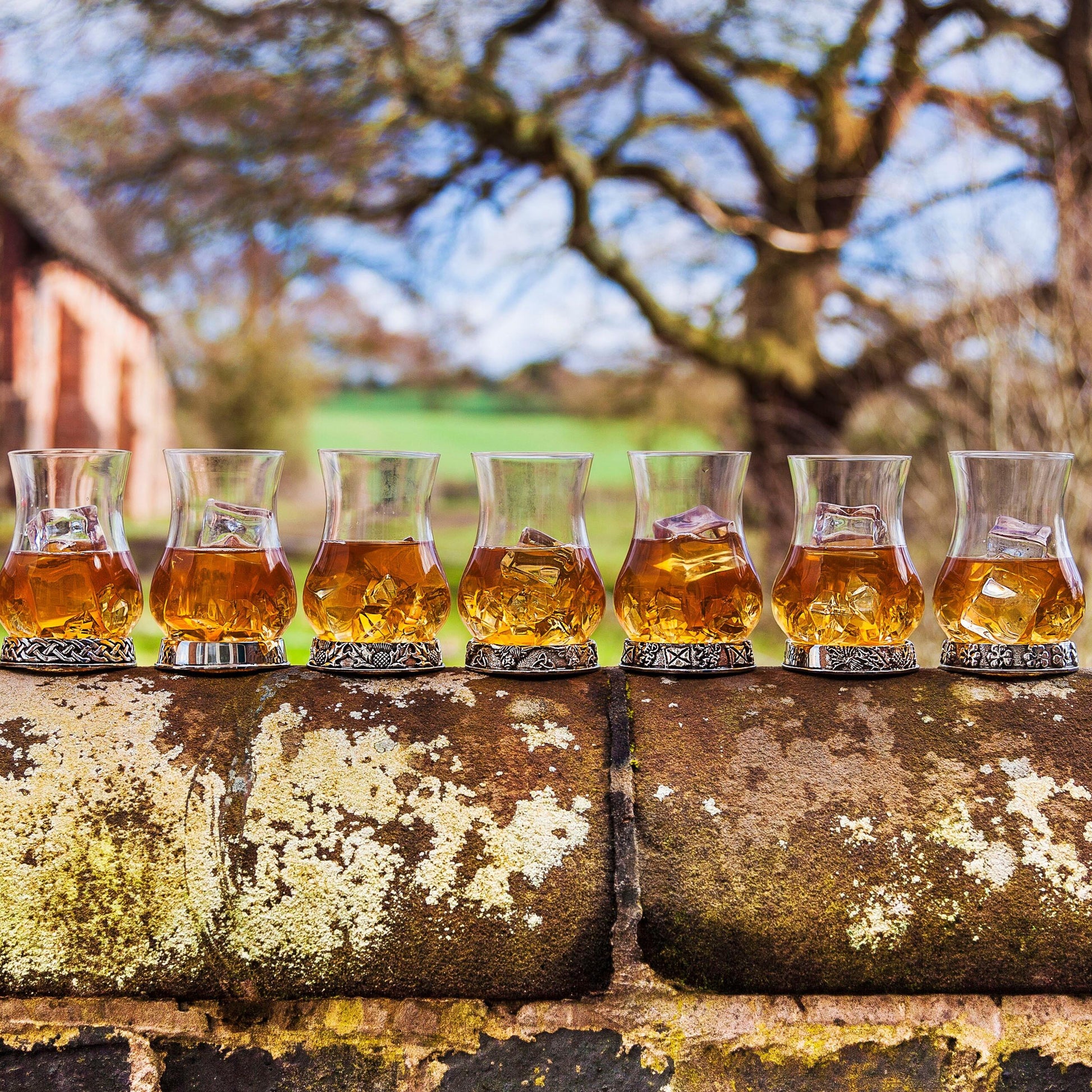 Several whisky glasses on a stone wall outdoors in a rustic setting.