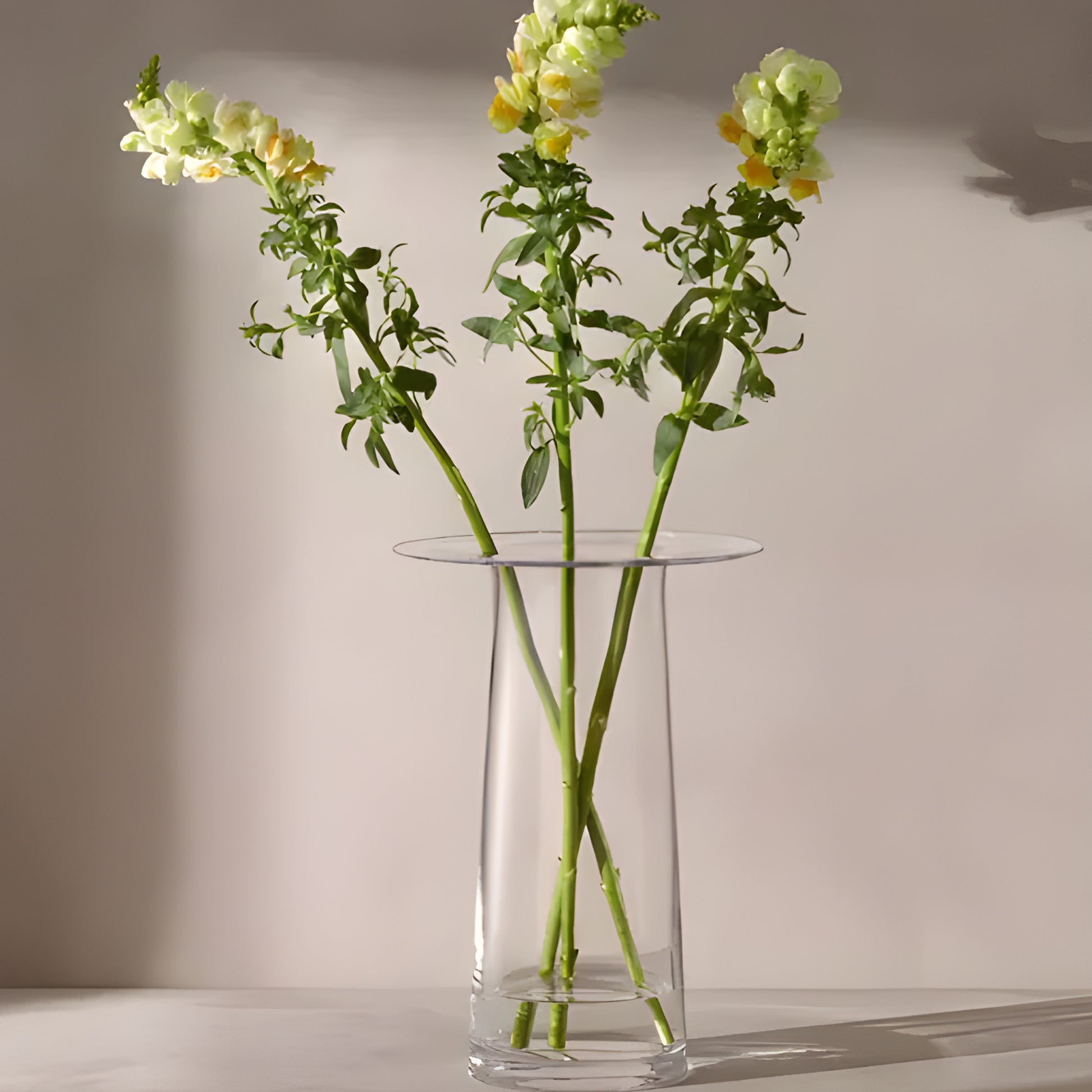 Clear glass vase with snapdragon flowers on a neutral background.