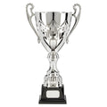 Silver trophy cup with ornate handles on a black base.