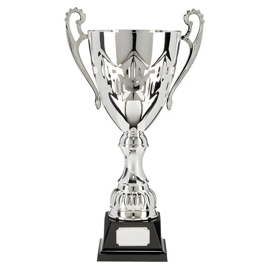 Silver trophy cup with ornate handles on a black base.