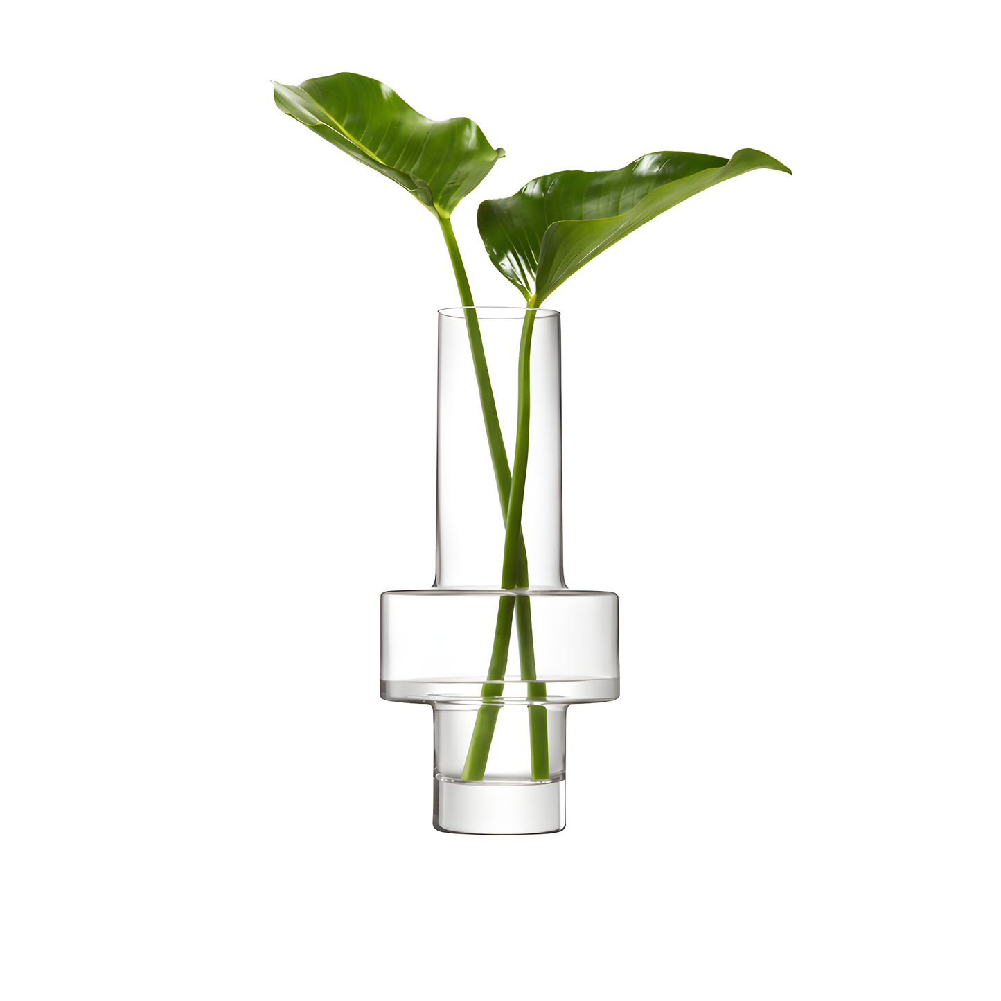 Modern glass vase with minimalist green leaves against white background.
