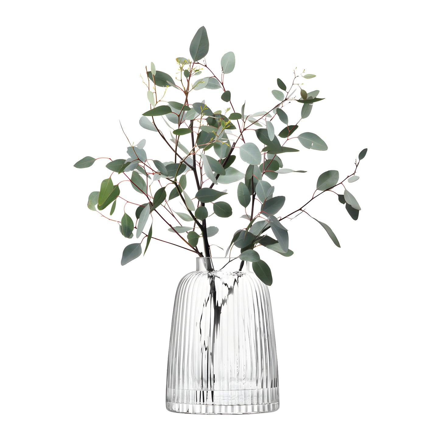 Clear glass pleat vase with eucalyptus branches arrangement.
