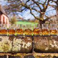 Several whisky glasses on a stone wall outdoors in a rustic setting.