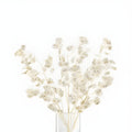 Translucent honesty plants in a textured glass vase on a white background.