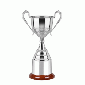 Swatkins Silver Plated Cup